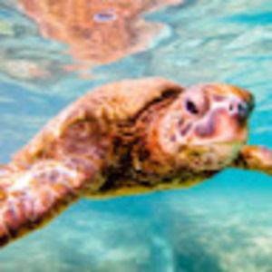 Meet your Posher, Aubrianna